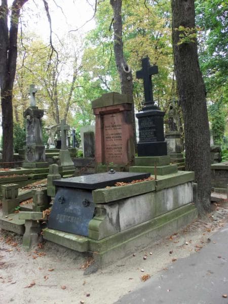 Zdjęcie grobu Jan Dębicki (1)