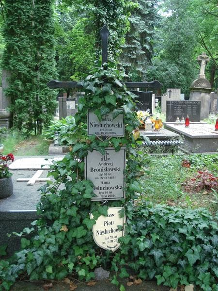 Zdjęcie grobu Andrzej Bronisławski (1)