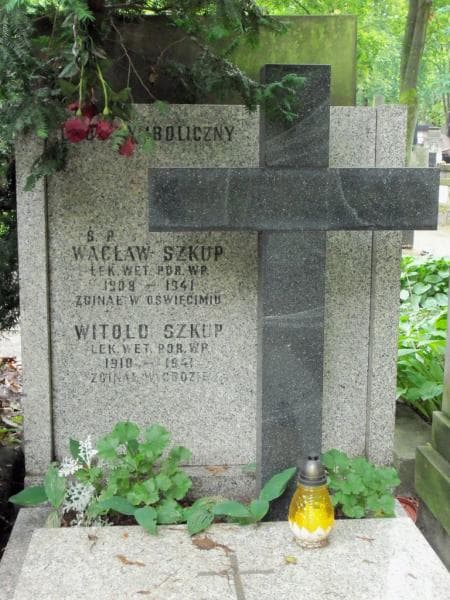 Zdjęcie grobu Wacław Szkup (2)