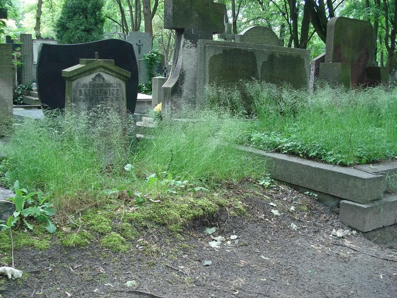 Zdjęcie grobu Teresa Bątkiewicz (1)