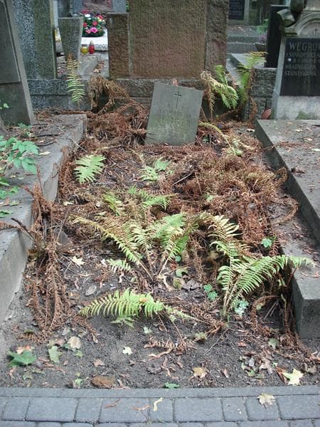 Zdjęcie grobu Kazimierz Jan Zeliger (1)