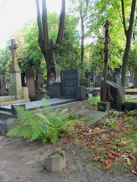 Zdjęcie grobu Eufemja Pilniakowska (1)