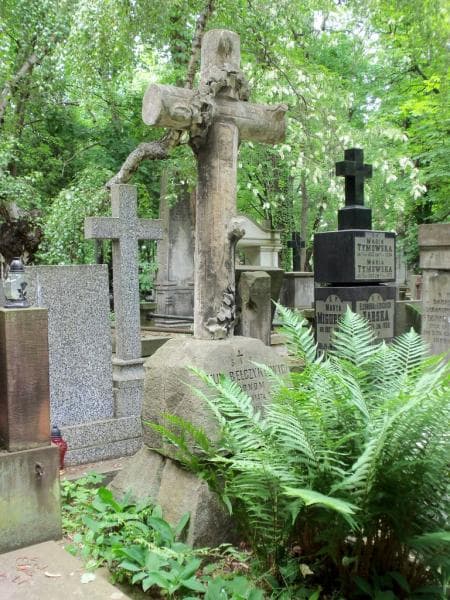 Zdjęcie grobu Felix Bełczykiewicz (2)