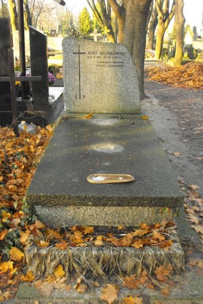 Zdjęcie grobu: Adaś Bronikowski