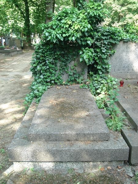 Zdjęcie grobu: Aniela Jaskłowska