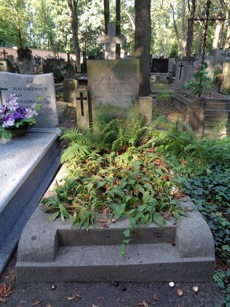 Zdjęcie grobu Włodzimierz Czanow (1)