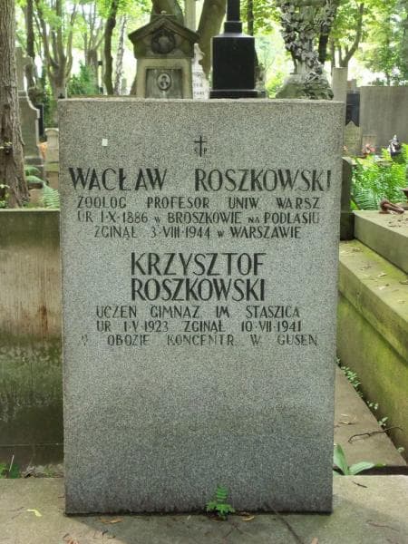 Zdjęcie grobu Janina Roszkowska (2)