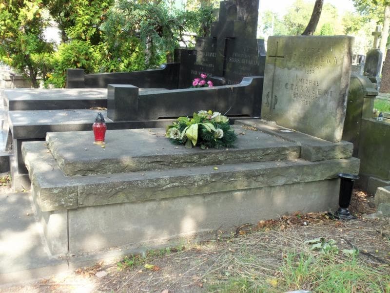 Zdjęcie grobu Michał Czarnecki (1)