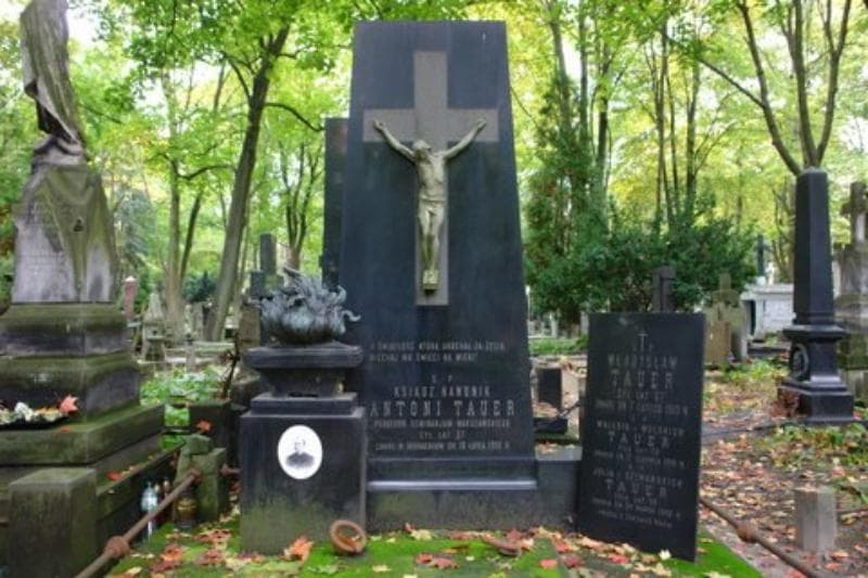 Zdjęcie grobu Julia Tauer (2)