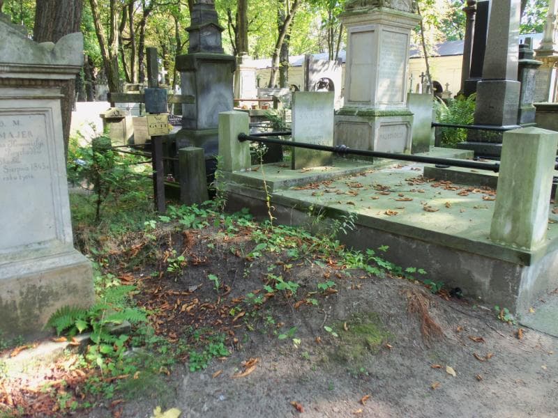 Zdjęcie grobu Romuald Gutt (1)