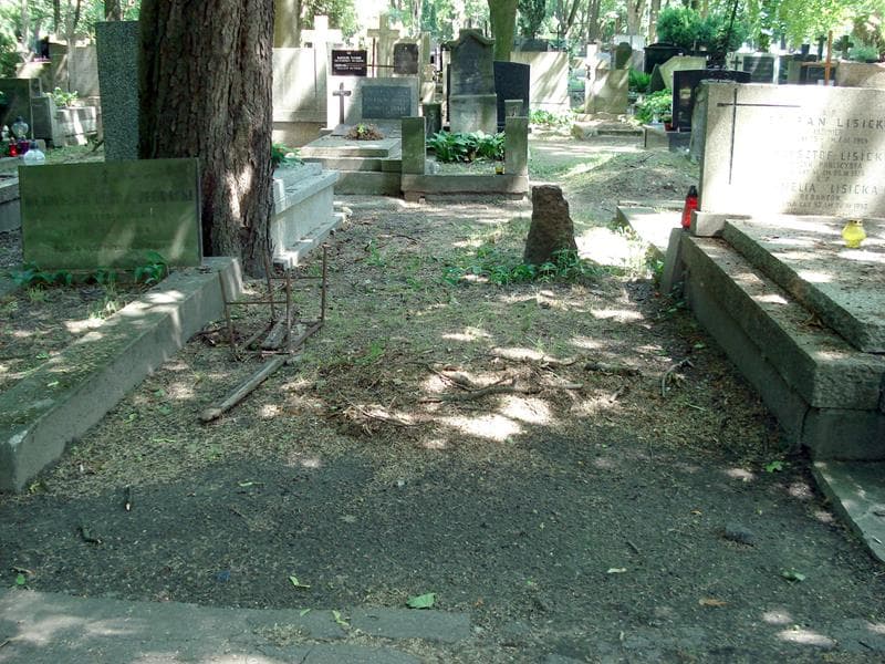Zdjęcie grobu: Pole Grobowe
