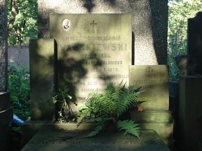 Zdjęcie grobu Maria Wachniewska (2)