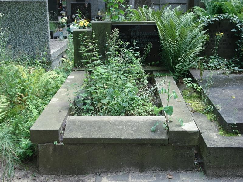 Zdjęcie grobu: Alicja Olszańska