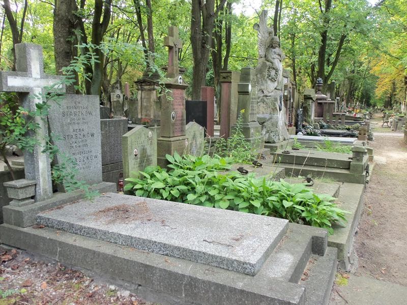 Zdjęcie grobu Ignacy Tabaczyńśki (1)