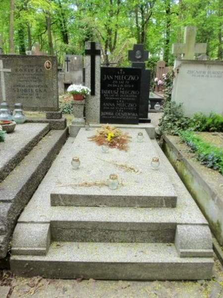 Zdjęcie grobu: Jadwiga Olszewska