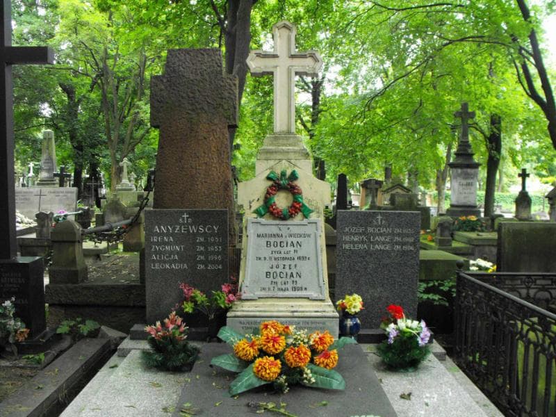 Zdjęcie grobu Henryk Lange (2)