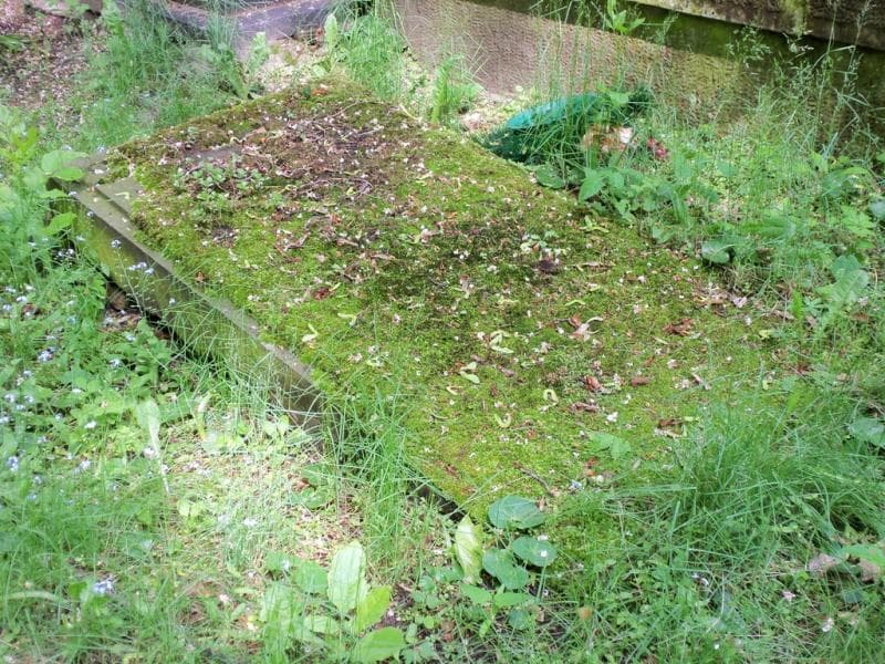 Zdjęcie grobu Rozalia Ogonowska (2)