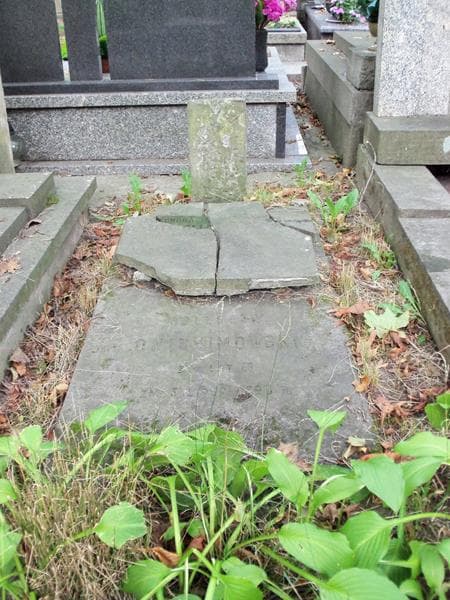 Zdjęcie grobu Bolesław Onichimowski (2)