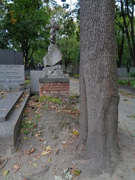 Zdjęcie grobu Feliks Daniłowicz (1)