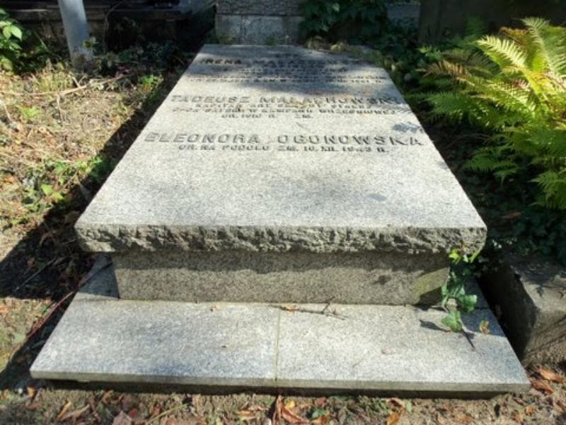 Zdjęcie grobu: Eleonora Ogonowska