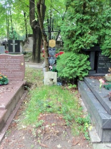 Zdjęcie grobu: Maria Majczyno