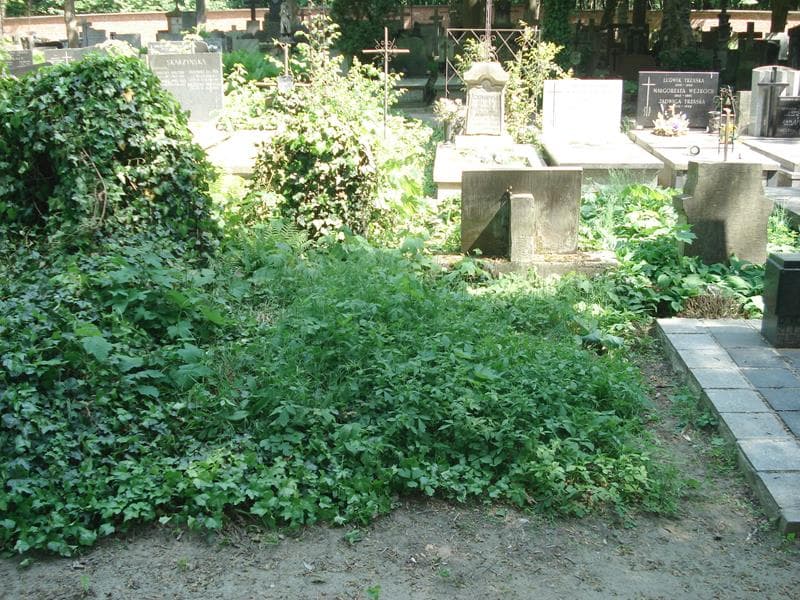 Zdjęcie grobu: Pole Grobowe