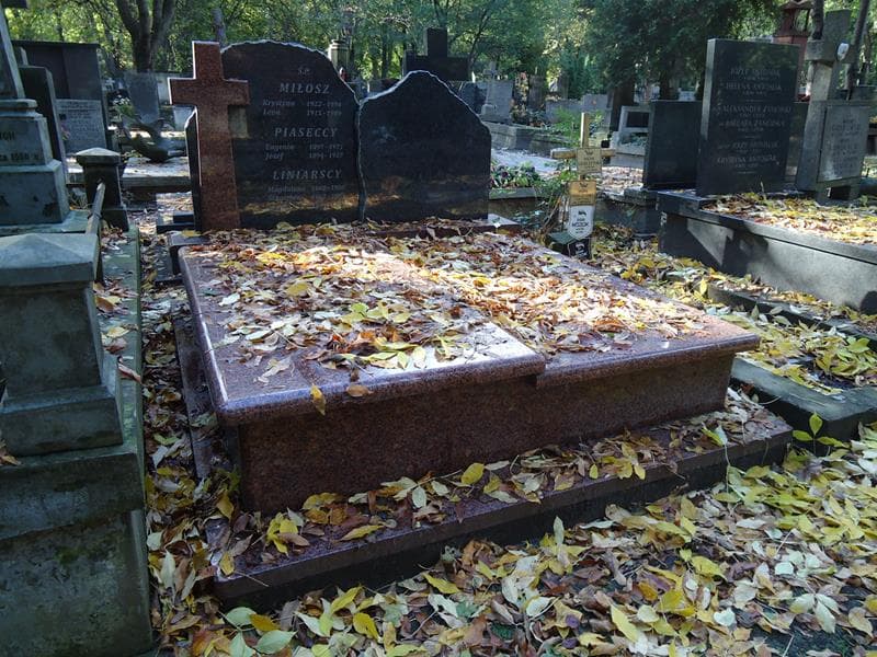 Zdjęcie grobu: Eugenia Piasecka