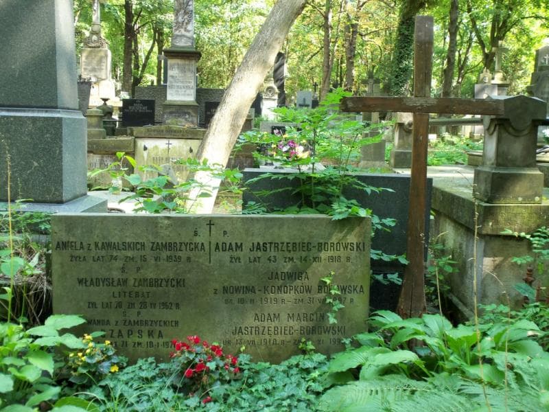 Zdjęcie grobu Jadwiga Borowska (2)