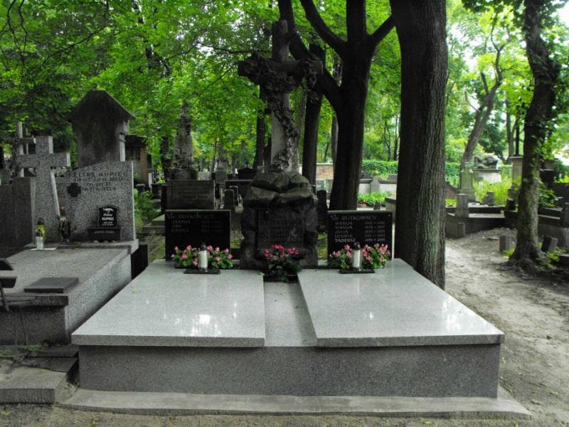 Zdjęcie grobu: Ignacy Drzewiński