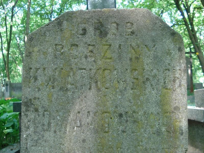 Zdjęcie grobu Nowakowscy (2)
