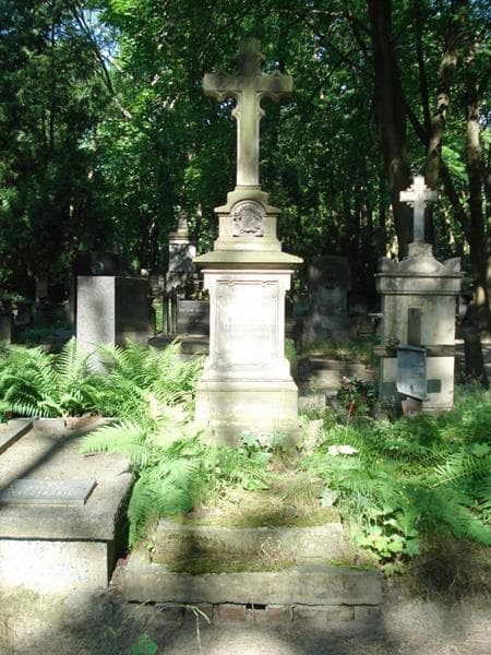 Zdjęcie grobu Władysław Alexandrowicz (1)
