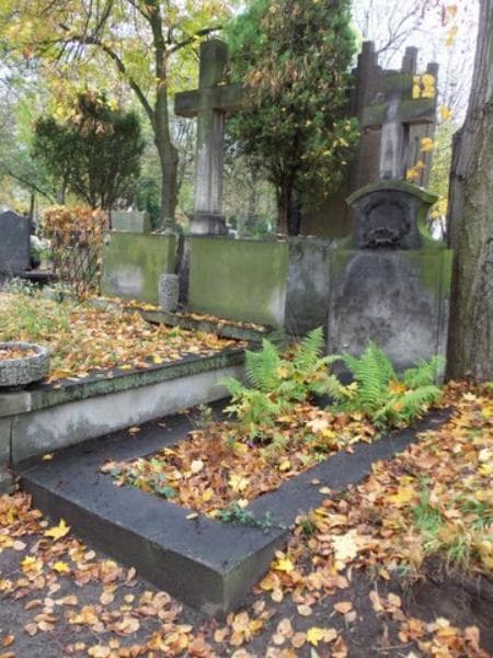 Zdjęcie grobu Wanda Sieheń (1)