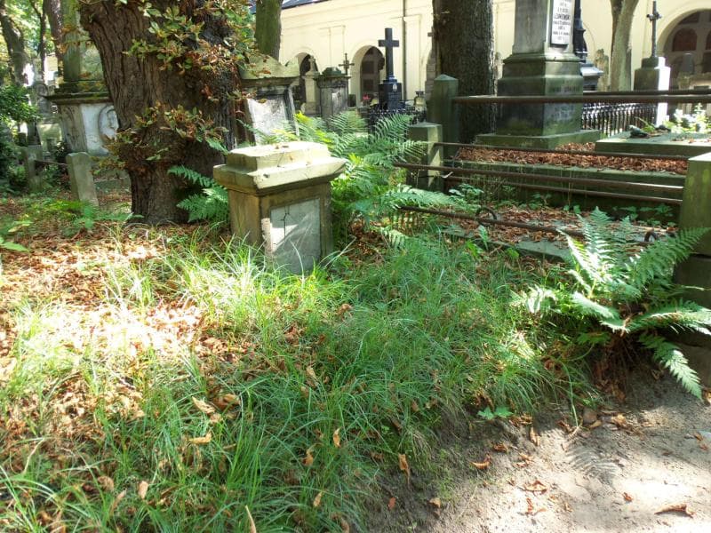 Zdjęcie grobu Nadzieja Timofiejow (1)