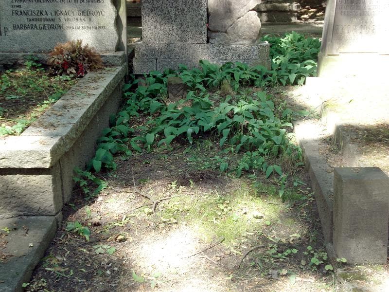 Zdjęcie grobu: Anonim