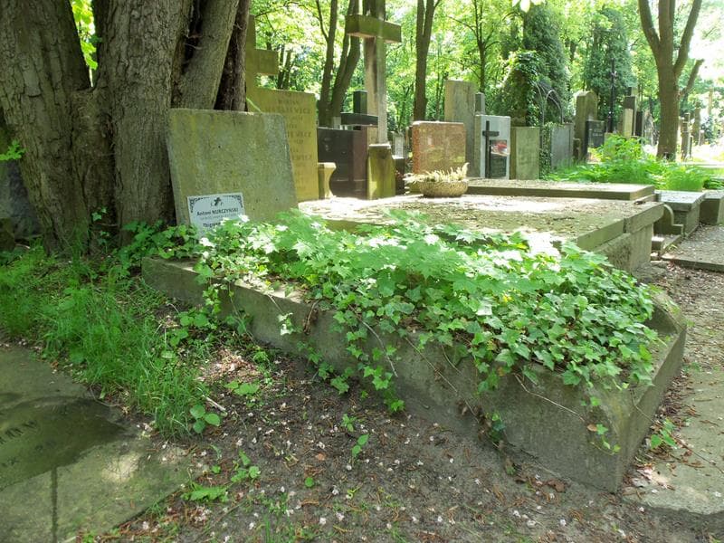 Zdjęcie grobu Antoni Nurczyński (1)
