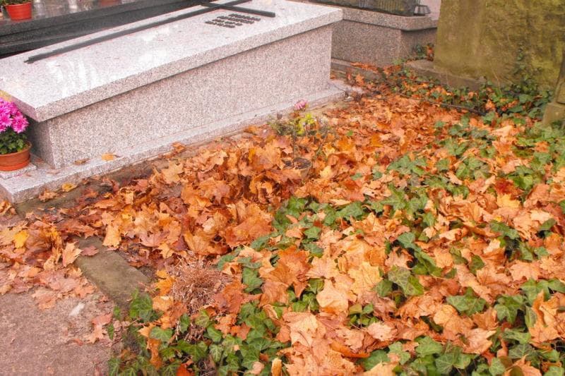 Zdjęcie grobu Anonim (1)