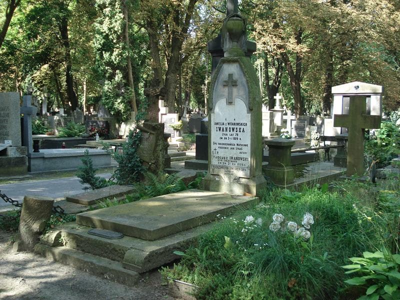 Zdjęcie grobu Amelja Iwanowska (1)