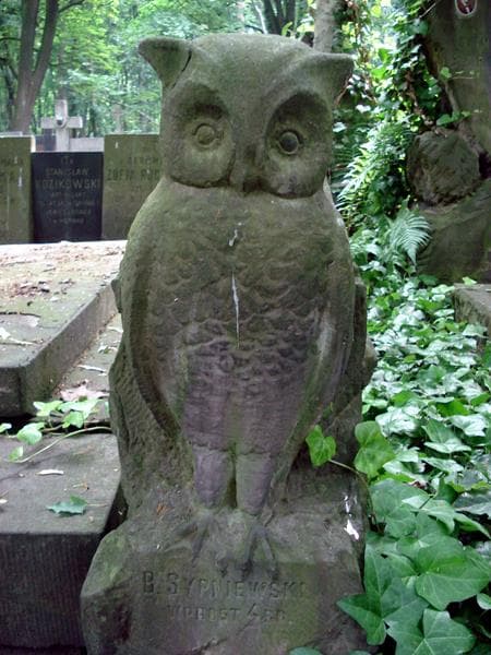Zdjęcie grobu Władysław Chudzicki (2)