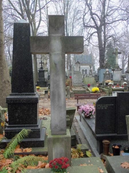 Zdjęcie grobu Sejkowie (2)