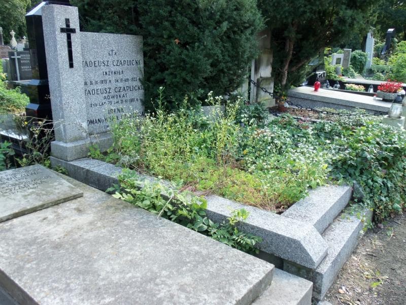 Zdjęcie grobu Tadeusz Czaplicki (1)