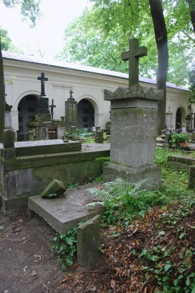 Zdjęcie grobu: Domicella Jasińska