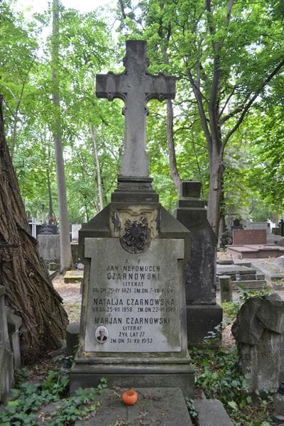 Zdjęcie grobu Jan Nepomucen Czarnowski (2)