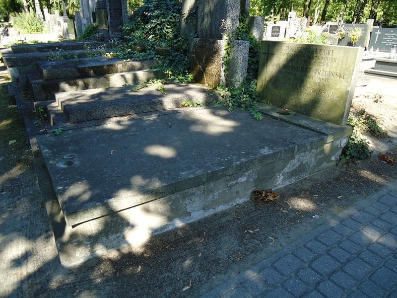 Zdjęcie grobu Janusz Cielecki (1)