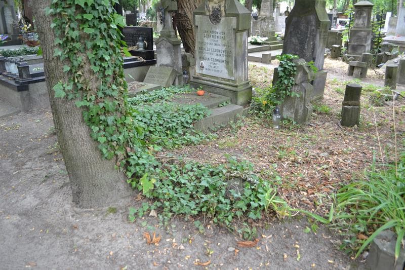 Zdjęcie grobu: Bronisław Chodaczyński