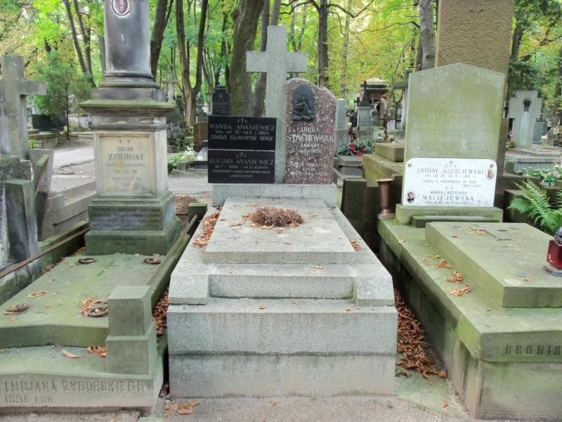 Zdjęcie grobu Lucjan Anasiewicz (1)