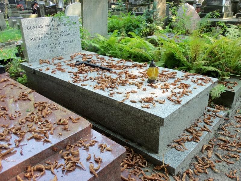 Zdjęcie grobu Jerzy Sawiczewski (1)