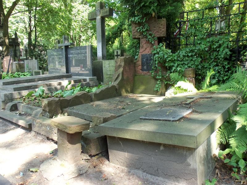 Zdjęcie grobu Stanisław Makulski (1)