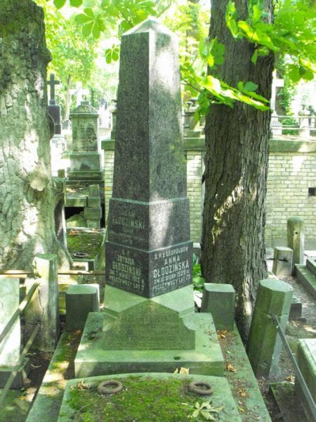 Zdjęcie grobu Adam Głodziński (1)