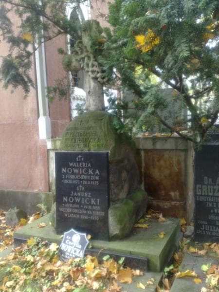 Zdjęcie grobu Janusz Nowicki (1)