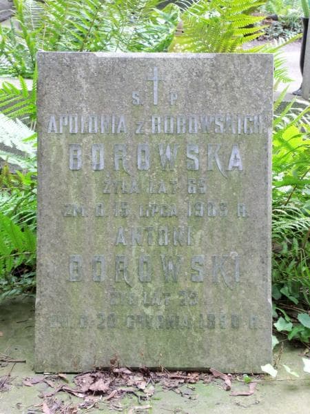Zdjęcie grobu Aniela Borowska (2)